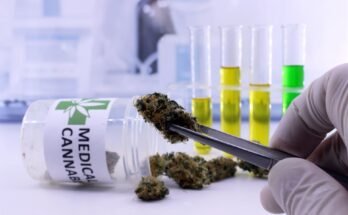 What Health Conditions Can Medicinal Cannabis Treat
