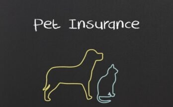 Pet Insurance New Zealand