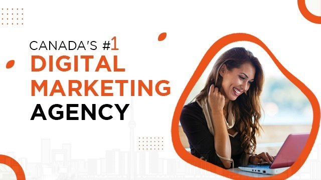 5 Reasons Why You Need Digital Marketing Agency and SEO Services